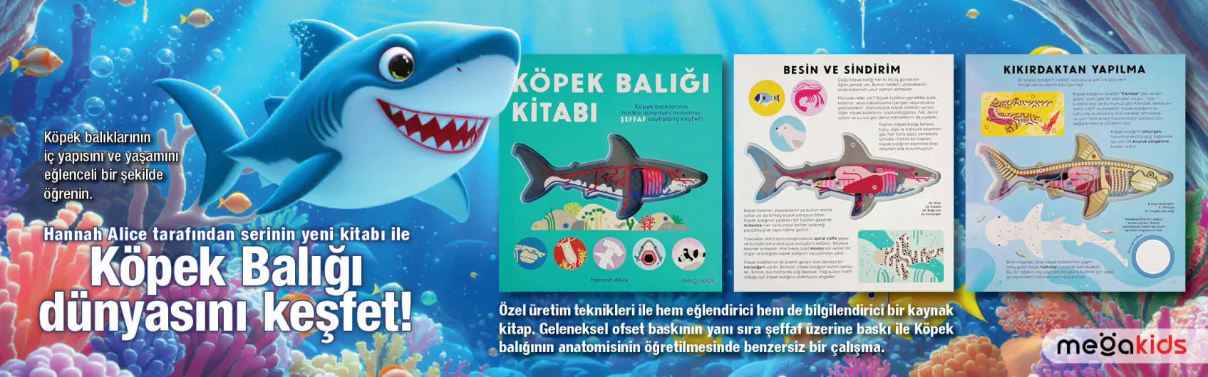 https://cdn.kibo.com.tr/temp-mirror/w0/308/0/4/9540_2255e102-23f3-42dd-82f2-0c496fe36bd9.webp